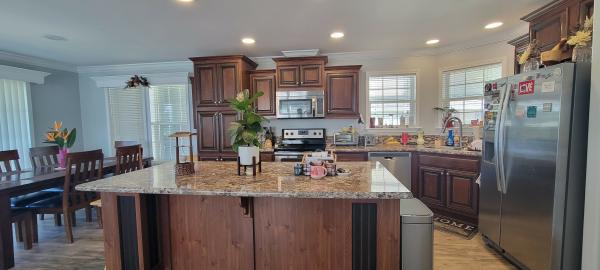 2017 Skyline Mobile Home