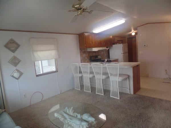 1992 Mobile Home