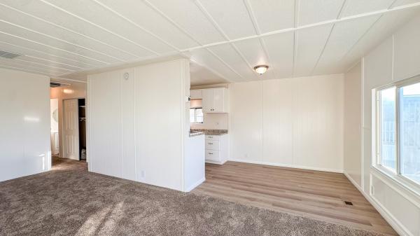 1969 Skyline Mobile Home