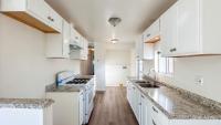 1969 Skyline Mobile Home