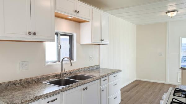 1969 Skyline Mobile Home