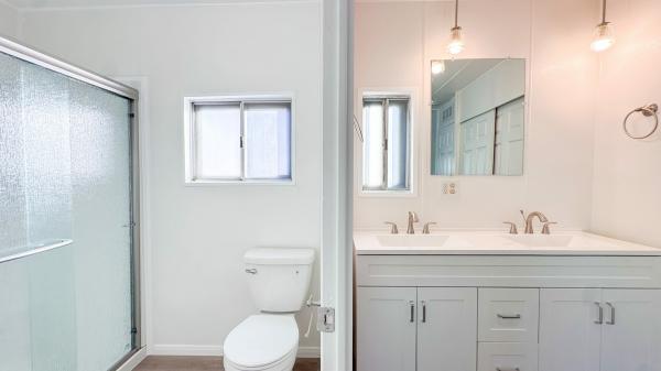 1969 Skyline Mobile Home