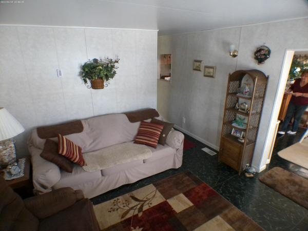 1985 Rave TV Mobile Home