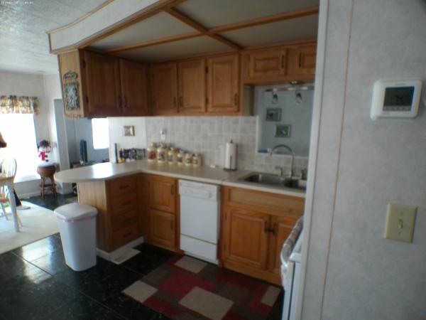 1985 Rave TV Mobile Home