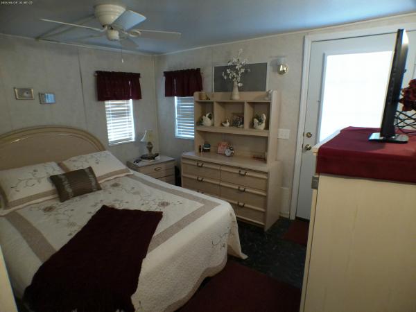 1985 Rave TV Mobile Home