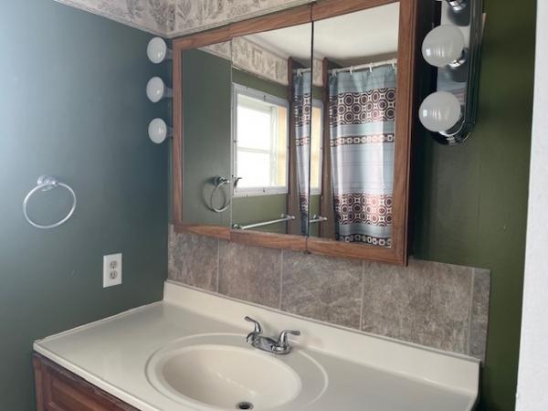 1970 RITZ Manufactured Home