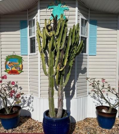 Photo 4 of 12 of home located at 7125 Fruitville Rd 1808 Sarasota, FL 34240