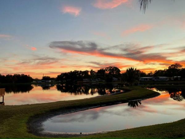 2025 Skyline - Ocala Santa Rosa - NP Mobile Home