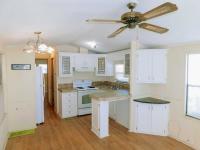 1993 Destiny Manufactured Home