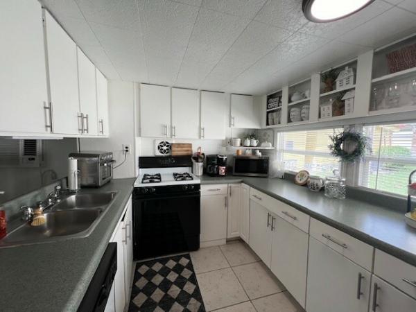 1967 Mobile Home