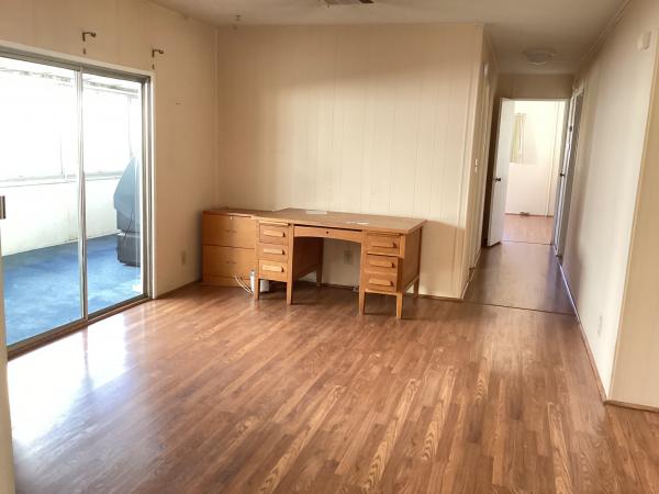 1971 skyline dom-1971 Mobile Home