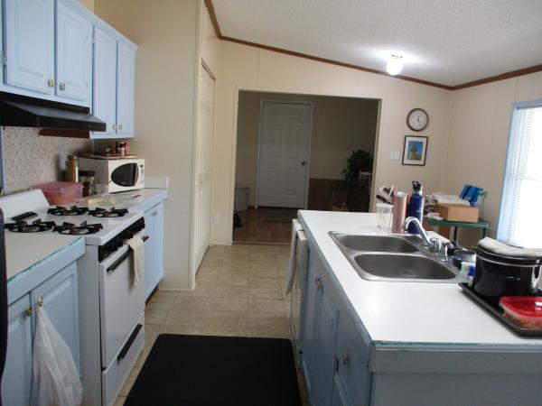 1996 Skyline Mobile Home