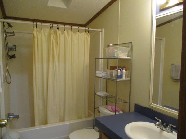 1996 Skyline Mobile Home