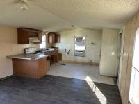Mobile Home