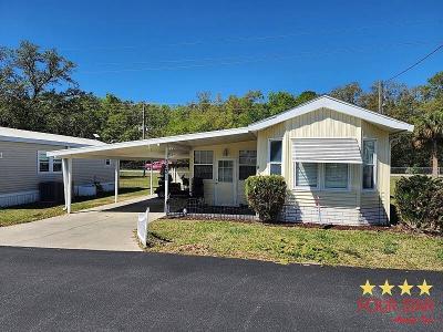 Mobile Home at 40840 Cr 25 Lady Lake, FL 32159