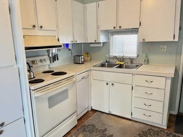 1972 Ritz Mobile Home
