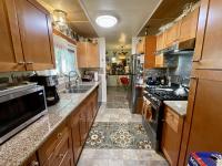 1975 Skyline Mobile Home