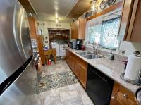 1975 Skyline Mobile Home