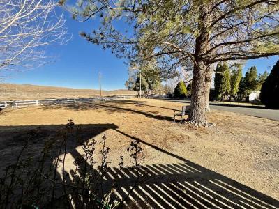 Photo 5 of 21 of home located at 101 Lincoln Hwy #31 Wadsworth, NV 89442