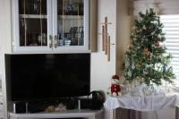 1989 Castle Manufactured Home