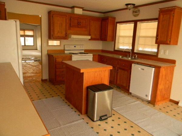 1996 Patriot Manufactured Home