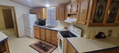 Mobile Home at 252 Dover Ct Dimondale, MI 48821