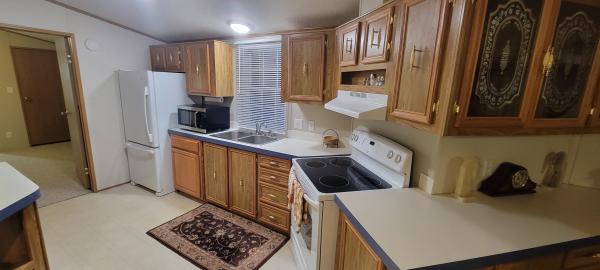 Photo 1 of 2 of home located at 252 Dover Ct Dimondale, MI 48821