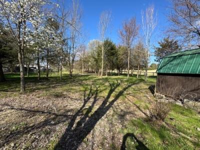 Photo 4 of 23 of home located at 3685 Mount Carmel Rd Mosheim, TN 37818
