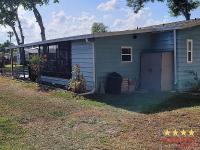 1989 PALM   Home