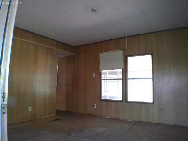 1969 Skyline Manufactured Home