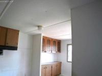 1969 Skyline Manufactured Home