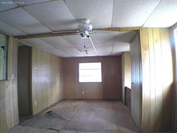 1969 Skyline Manufactured Home