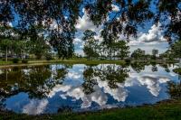1994 Palm Harbor Manufactured Home