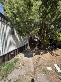 Champion Tamarack Mobile Home