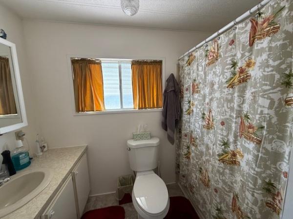 1979 Skyline Manufactured Home