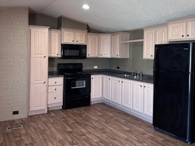 Photo 2 of 5 of home located at 3707 E Us Business 83, #350 Donna, TX 78537