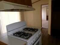 1993 Skyline Mobile Home