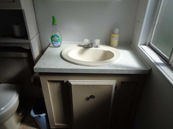 1985 TWIN Manufactured Home