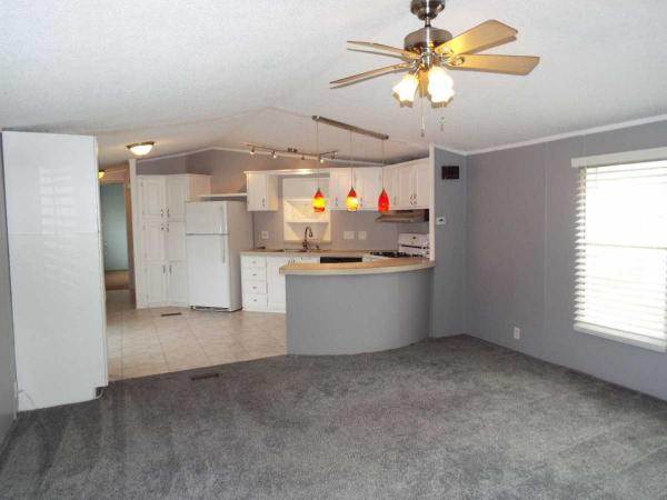 1992 Skyline Manufactured Home