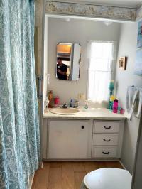 1980 SKYLINE Mobile Home