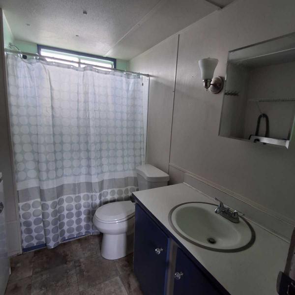 1974 Peerless Manufactured Home