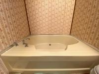 1985 Ritzcraft 1186 6806 Mobile Home