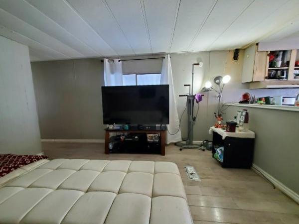 1978 Skyline Manufactured Home