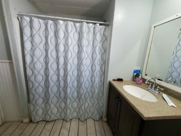 1978 Skyline Manufactured Home