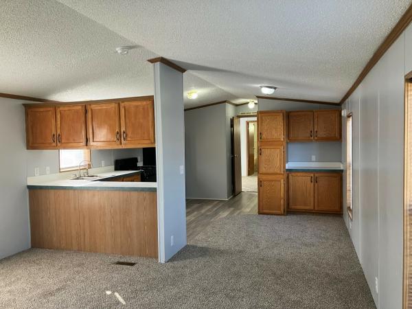 1995 PATRIOT mobile Home