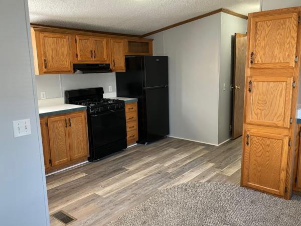 1995 PATRIOT mobile Home
