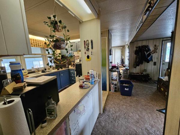 1975 Mobile Home