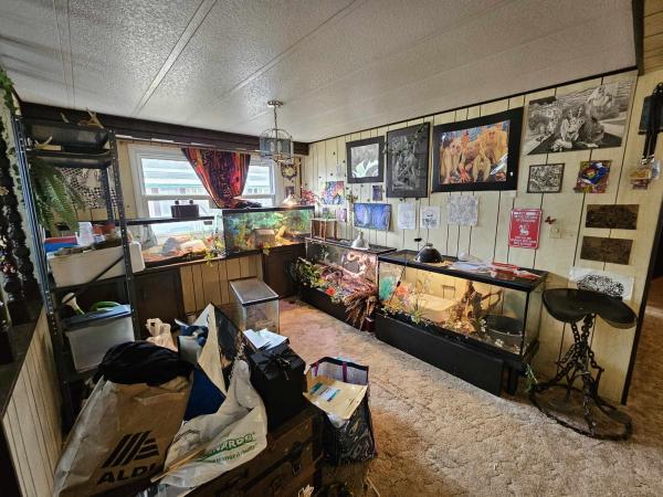 1975 Mobile Home