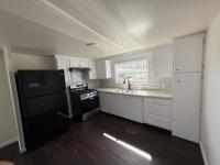1969 Skyline Mobile Home