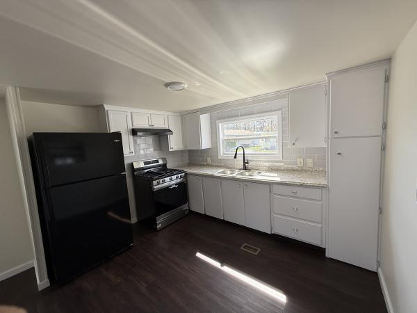 1969 Skyline Mobile Home